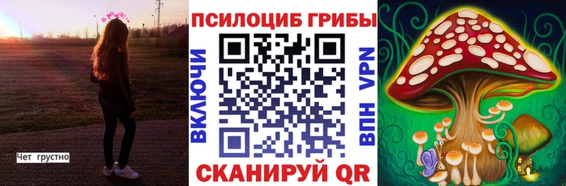 нарко площадка какой сайт  Саров  Галлюциногенные грибы ЛСД  где купить  
