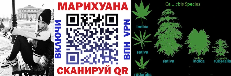 где найти   Саров  МАРИХУАНА конопля 